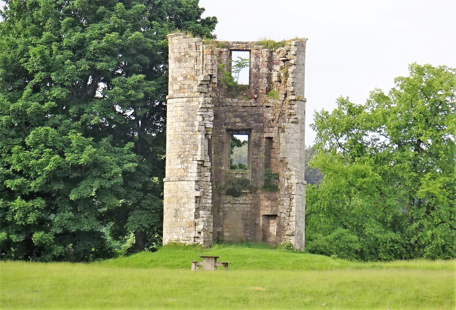 A short history of Douglas Clydesdale's Heritage