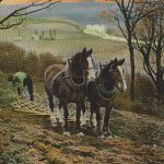 Rural life postcard series showing Clydesdale Horses
